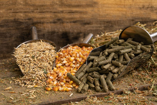 Nurturing Agriculture, Supporting Wellness