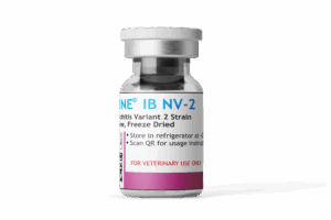 Vaksimune® IB NV-2