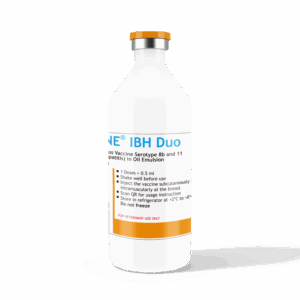 Vaksimune® IBH Duo