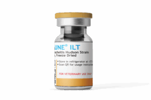 Vaksimune® ILT