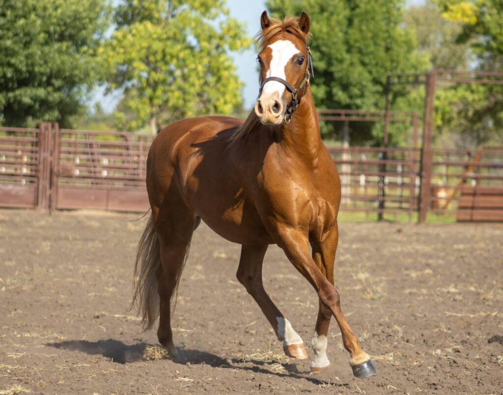Complete Agri & Animal Care Solutions