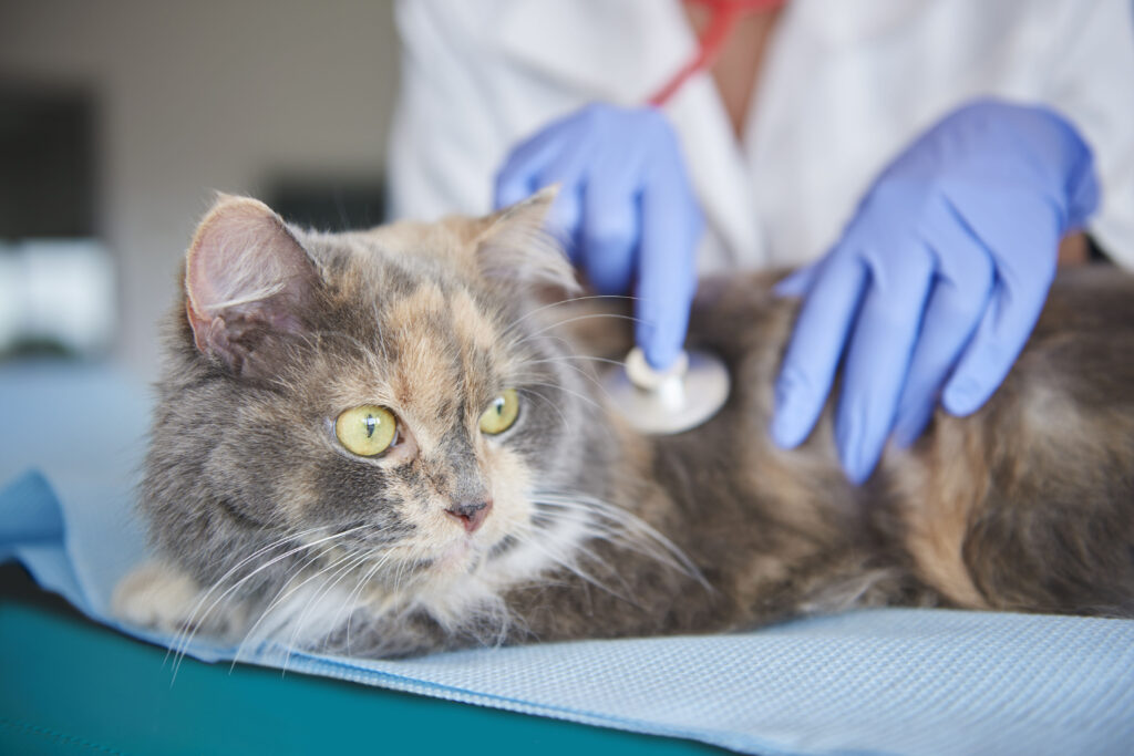 Veterinary Pharmaceuticals